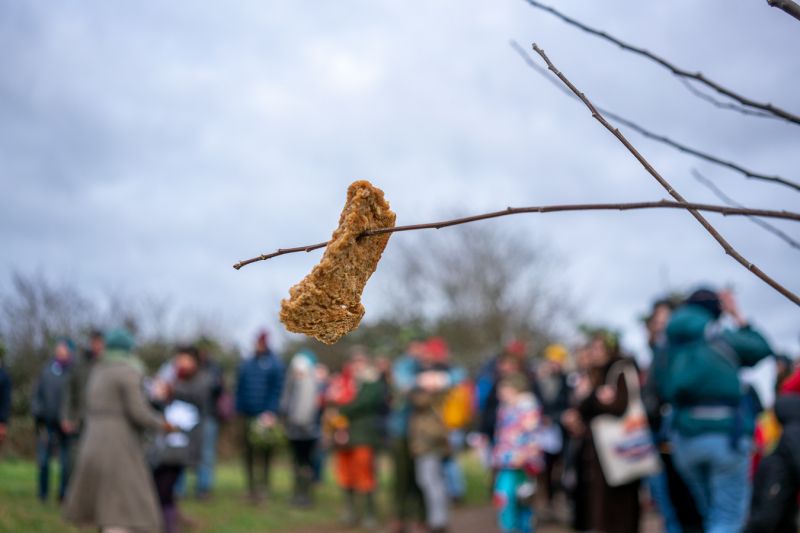 Community Farm QP 11