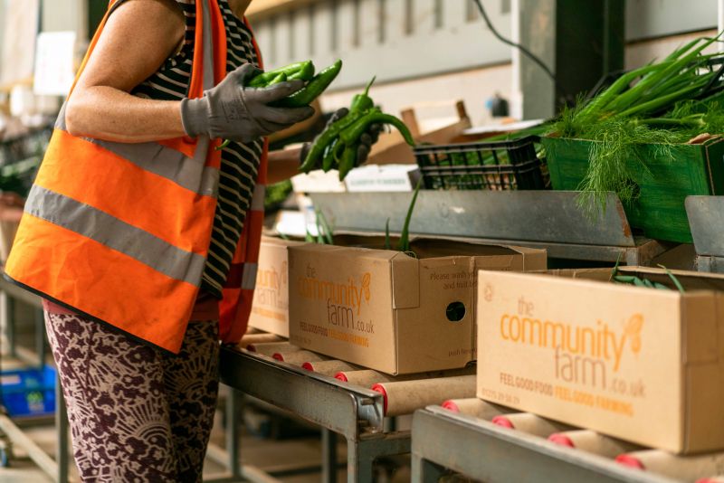 The Community Farm Organic Veg Box Delivery Bristol Bath WestonSuper