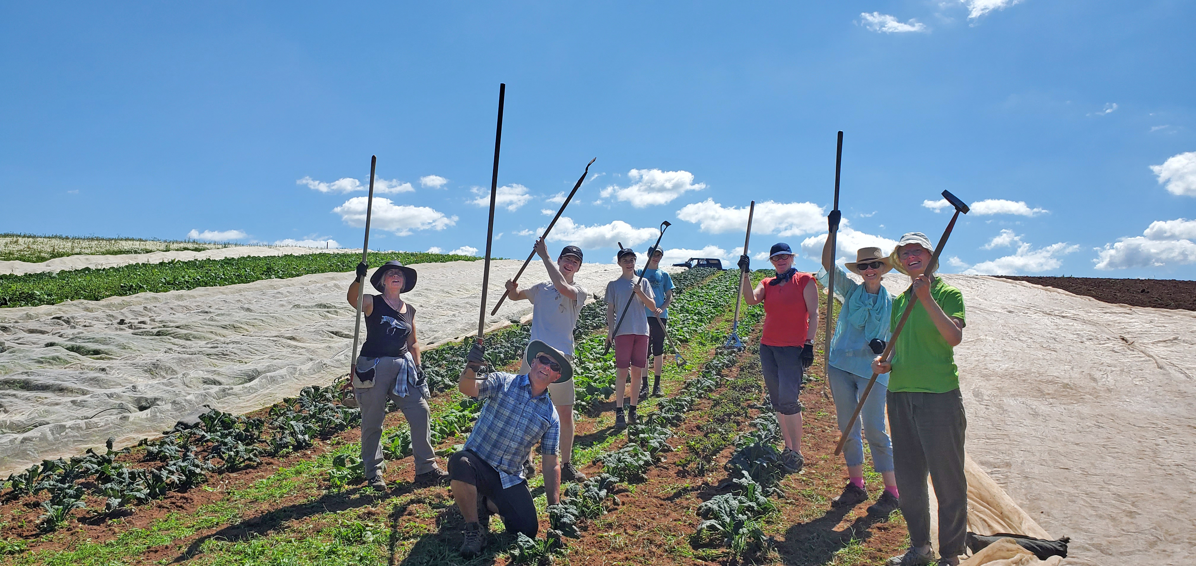Community Farmer Day - planting the squash and courgettes