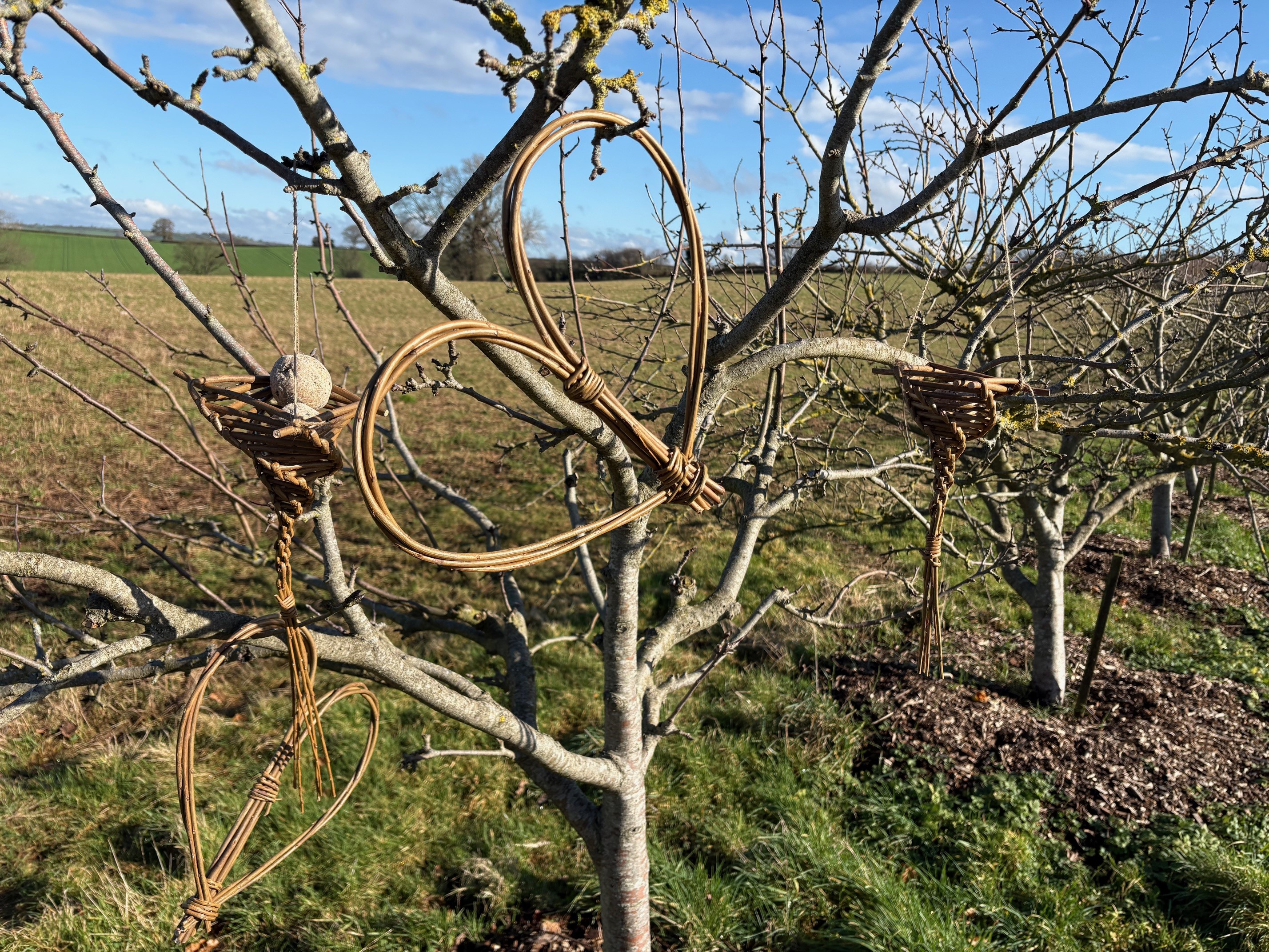 Introduction to Willow Weaving