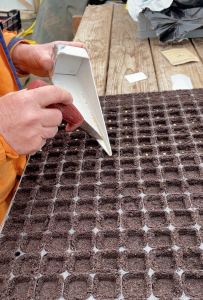 Let the sowing commence