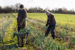 Goodbye to the 2024 leeks