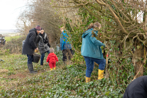 Hedgerow maintenance