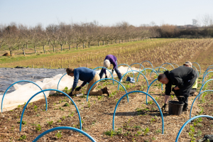 Volunteers loving the sun
