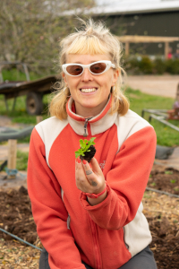 Grower with a plug of lettuce