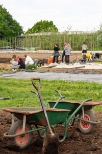 They worked hard prepping the beds in the market garden