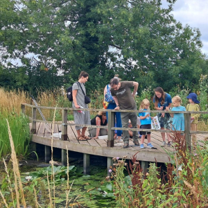 Featuring pond dipping