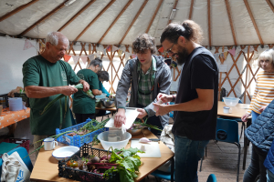 Somer Valley Rediscovered visited us to learn about organic growing