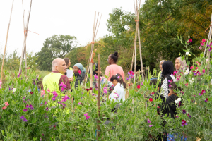 Kids came to The Farm with The Children's Kitchen and enjoyed harvesting our veg and cooking a fresh lunch
