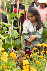 The Childrens Kitchen August 21